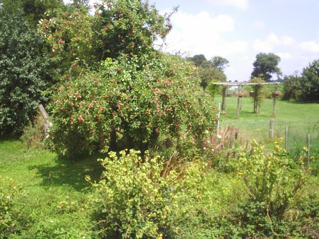 Chambres D'Hote Honey Orchard Farm Vessey Εξωτερικό φωτογραφία